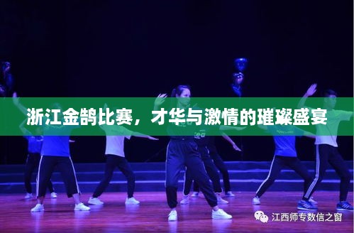 浙江金鹄比赛，才华与激情的璀璨盛宴