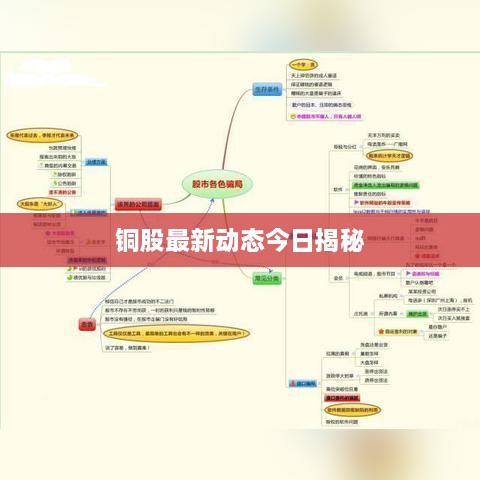 铜股最新动态今日揭秘