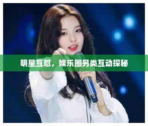 明星互怼，娱乐圈另类互动探秘