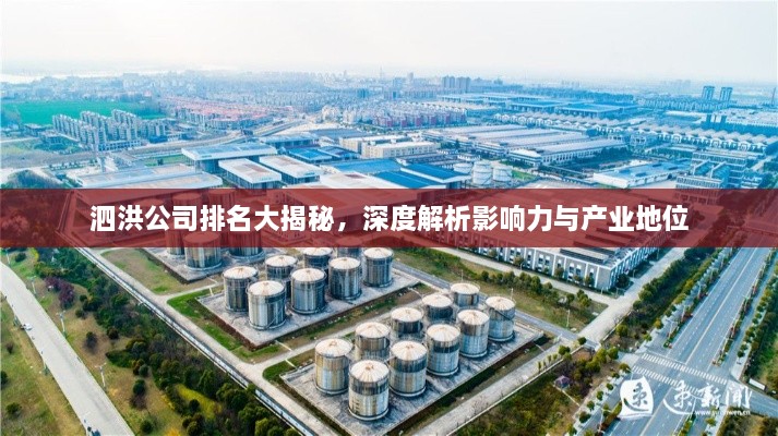 泗洪公司排名大揭秘，深度解析影响力与产业地位