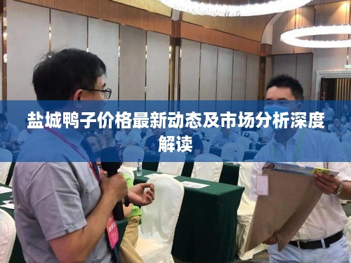 盐城鸭子价格最新动态及市场分析深度解读