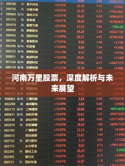 河南万里股票，深度解析与未来展望