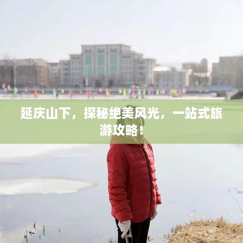 新闻动态 第38页