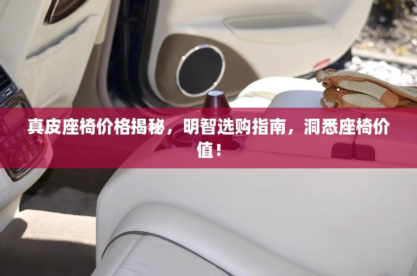 真皮座椅价格揭秘，明智选购指南，洞悉座椅价值！