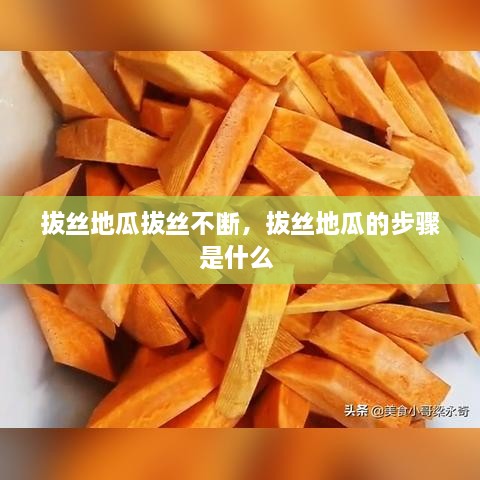 口若悬河