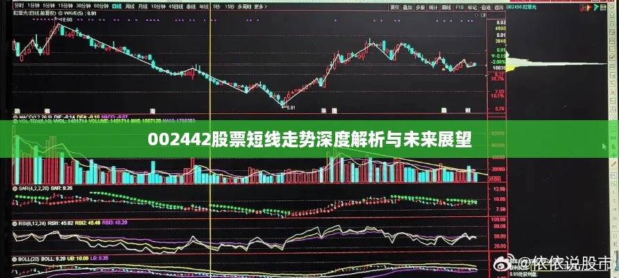 002442股票短线走势深度解析与未来展望