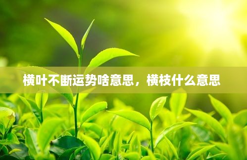 横叶不断运势啥意思，横枝什么意思 
