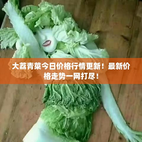 大荔青菜今日价格行情更新！最新价格走势一网打尽！