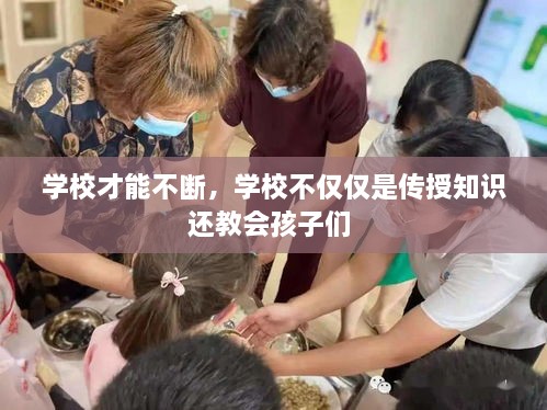 学校才能不断，学校不仅仅是传授知识还教会孩子们 