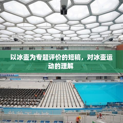 以冰壶为专题评价的短稿，对冰壶运动的理解 