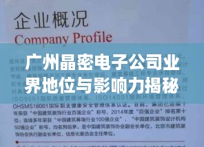 广州晶密电子公司业界地位与影响力揭秘