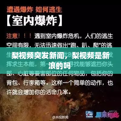 梨视频突发新闻，梨视频是新浪的吗 