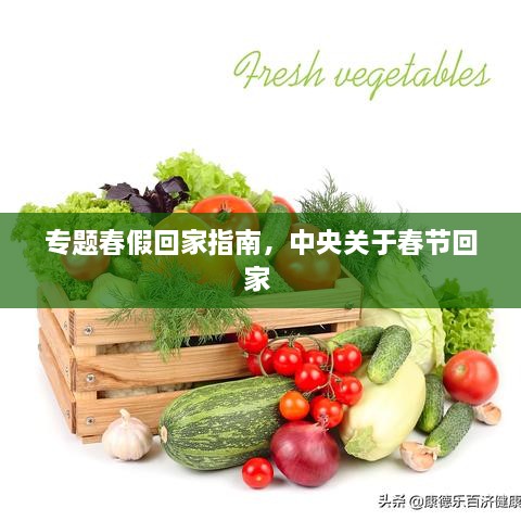 专题春假回家指南，中央关于春节回家 