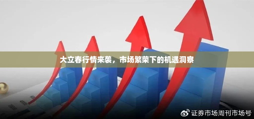大立春行情来袭，市场繁荣下的机遇洞察