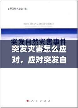 工程案例 第17页