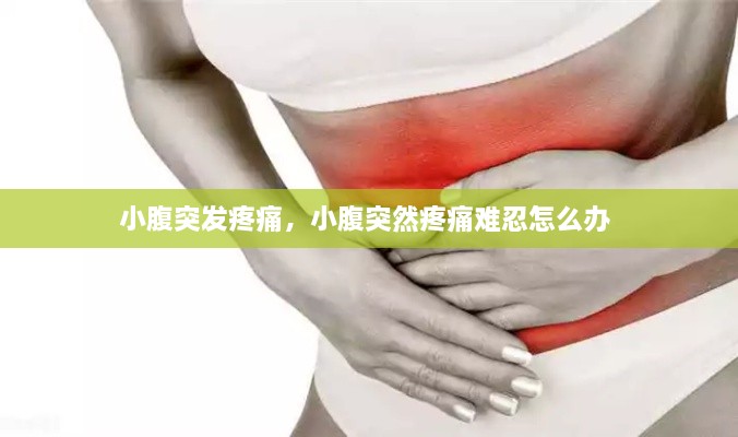 小腹突发疼痛，小腹突然疼痛难忍怎么办 
