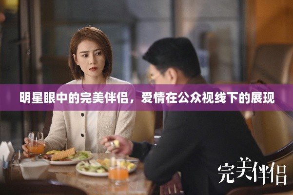 明星眼中的完美伴侣，爱情在公众视线下的展现