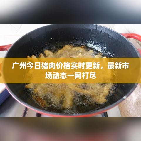 解决方案 第15页