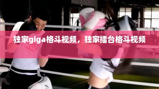 独家giga格斗视频，独家擂台格斗视频 