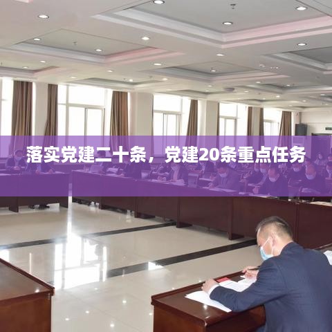 落实党建二十条，党建20条重点任务 