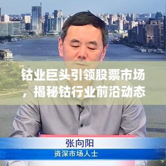 钴业巨头引领股票市场，揭秘钴行业前沿动态与未来趋势