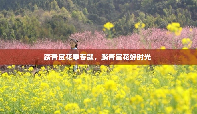 踏青赏花季专题，踏青赏花好时光 