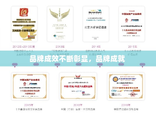 品牌成效不断彰显，品牌成就 