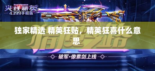 独家精选 精英狂贴，精英狂喜什么意思 