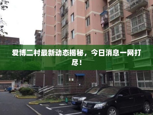 爱博二村最新动态揭秘，今日消息一网打尽！