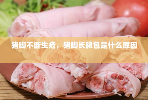 猪脚不断生疮，猪脚长脓包是什么原因 
