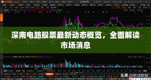 深南电路股票最新动态概览，全面解读市场消息