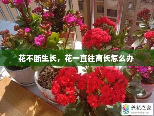 不翼而飞