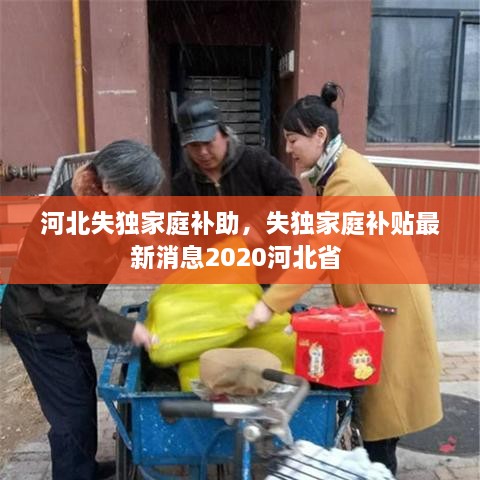 河北失独家庭补助，失独家庭补贴最新消息2020河北省 