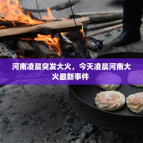 河南凌晨突发大火，今天凌晨河南大火最新事件 