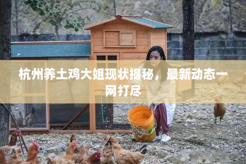 杭州养土鸡大姐现状揭秘，最新动态一网打尽