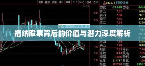 福纳股票背后的价值与潜力深度解析