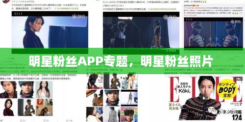 明星粉丝APP专题，明星粉丝照片 