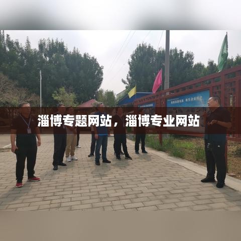 淄博专题网站，淄博专业网站 