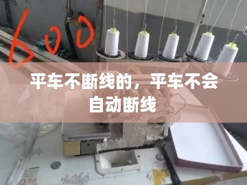 飞鸟依人