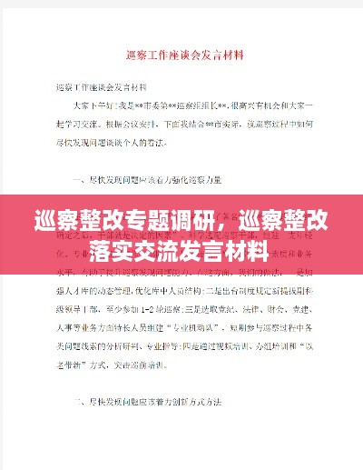 巡察整改专题调研，巡察整改落实交流发言材料 