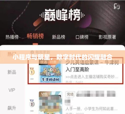 小程序与明星，数字时代的闪耀融合
