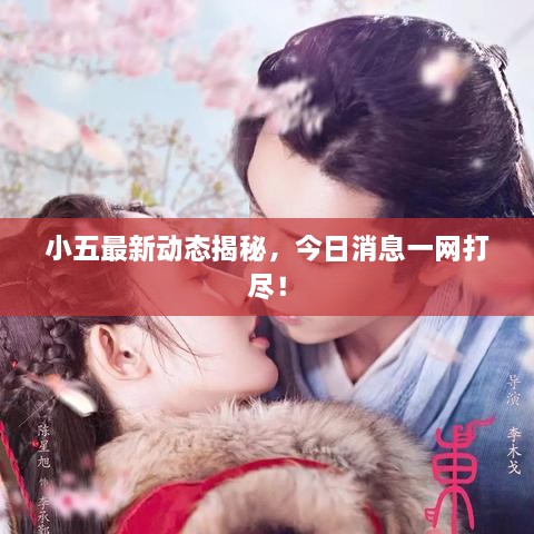 小五最新动态揭秘，今日消息一网打尽！
