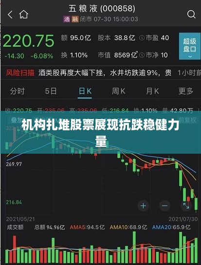 机构扎堆股票展现抗跌稳健力量