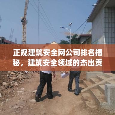 正规建筑安全网公司排名揭秘，建筑安全领域的杰出贡献者