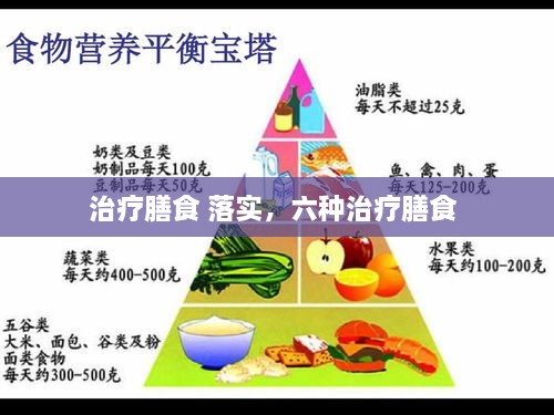治疗膳食 落实，六种治疗膳食 