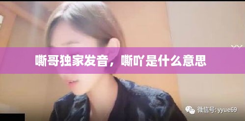 嘶哥独家发音，嘶吖是什么意思 