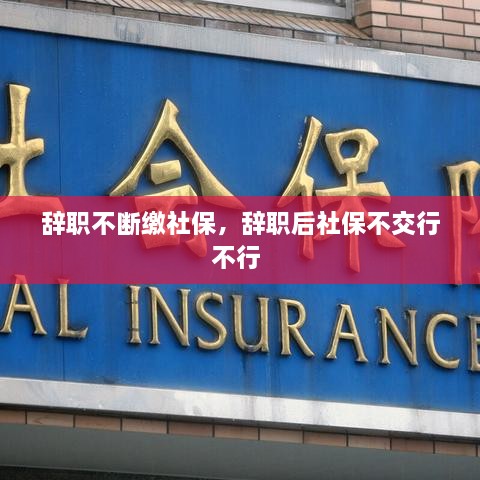 辞职不断缴社保，辞职后社保不交行不行 