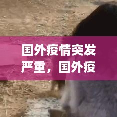 国外疫情突发严重，国外疫情形势严峻 