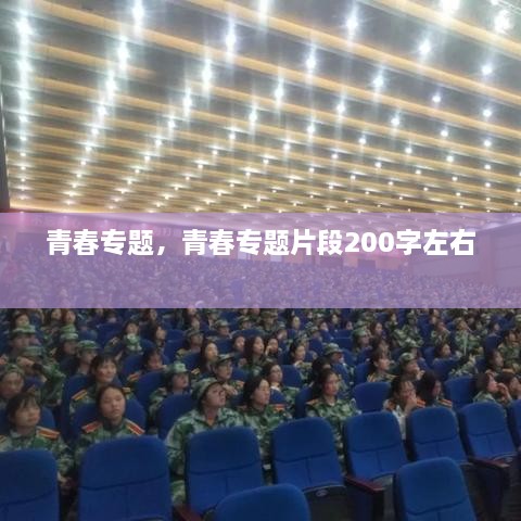 青春专题，青春专题片段200字左右 