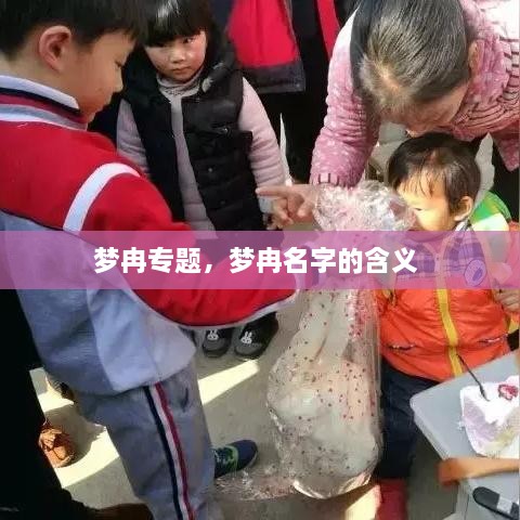 梦冉专题，梦冉名字的含义 